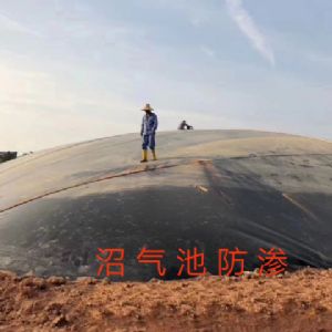 沼气池防渗工程