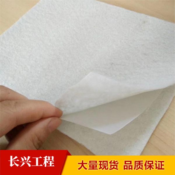 各种型号 复合土工膜  欢迎前来咨询